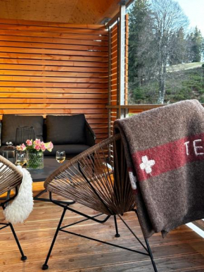 Feldberg Apartment - direkt an der Skipiste - mit Sauna
